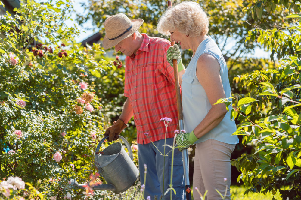 happy senior woman standing next to her husband during garden work