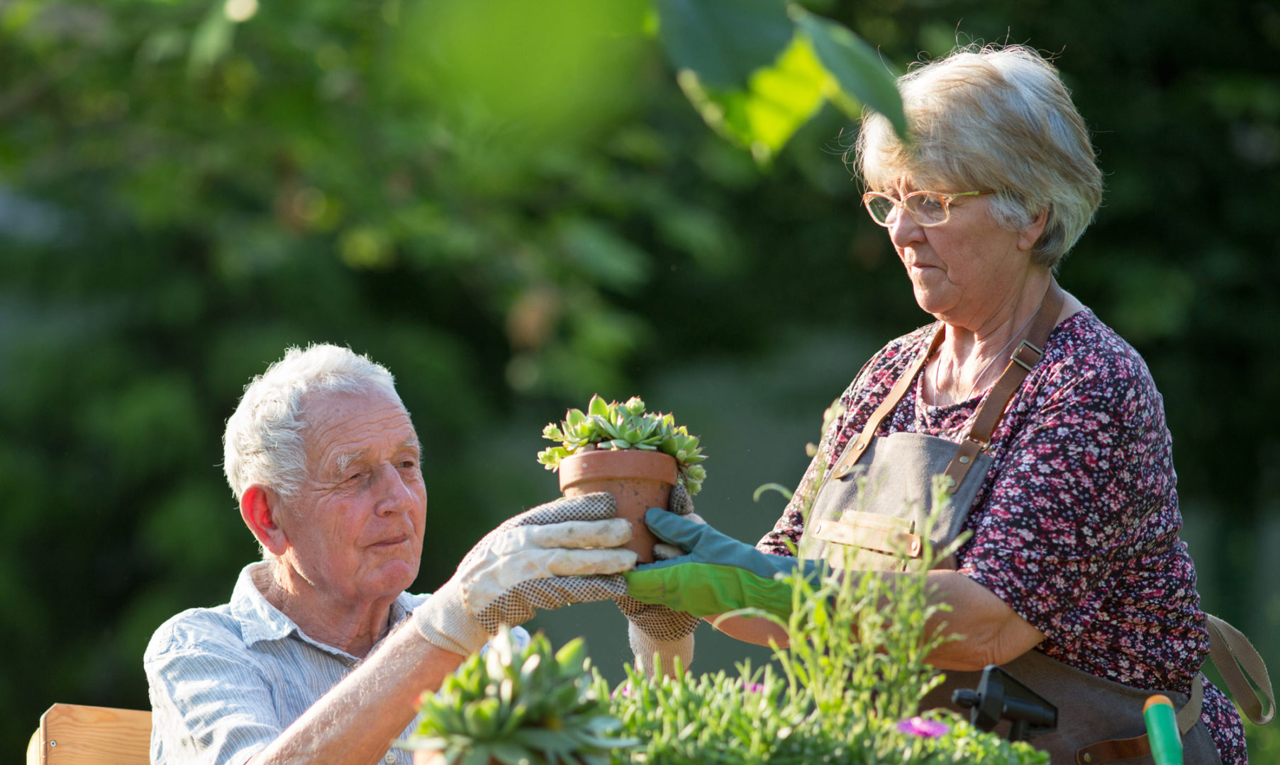 elderly-couple-gardening